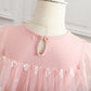 Baby Girls Princess Dress Gauze Embroidery Bow Dress One Piece Feast Dress Pink 339097