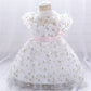 BABY CLOTHES BABY GIRLS PRINCESS DRESS L1982XZ