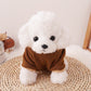 Pet Dog and Cat Clothes Pet Fashion Hoodie with Pockets Brown HA32108006-1
