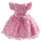 Baby Girls Princess Dress Embroidered Ruffle Sleeve Gazue Party One Piece Performance Dress Pink 2916