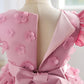 Baby Girls Princess Dress Embroidered Ruffle Sleeve Gazue Party One Piece Performance Dress Pink 2916