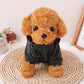 Pet Dog and Cat Clothes Pet Fashion Hoodie with Pockets Grey Plaid HA32107752
