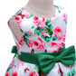 Baby Girls Princess Dress Floral Print Bow Sleeveless Round Neck Dress 1PCS Princess Dress 2586
