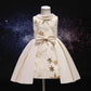 Baby Clothes Baby Princess Dress 8289