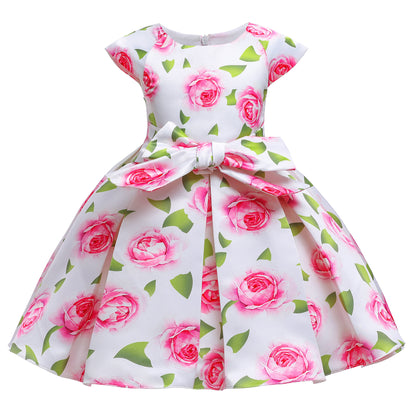 Baby Clothes Baby Princess Dress 8300
