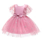 Baby Clothes Baby Princess Dress 8282